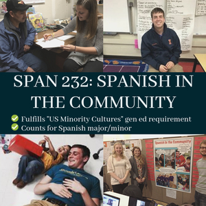 Spanish in the Community