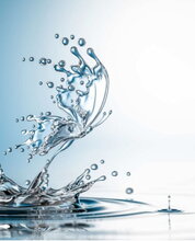 span 437 course image