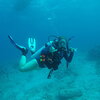 Spanish alumna Abby Knipp doing scuba in Caribbean